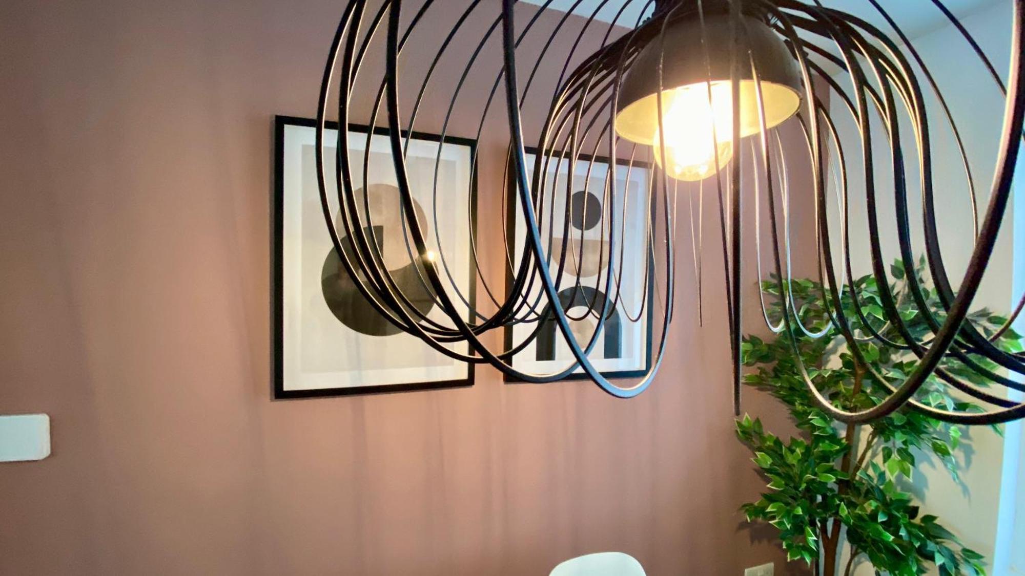 Belmont Residence Belfast Extérieur photo